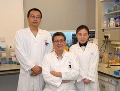 (From Left) Dr Bin Yu, Post-doctoral fellow, Professor Jiandong Huang, Professor, and Dr Lei Shi, Research Assistant of School of Biomedical Sciences, Li Ka Shing Faculty of Medicine, HKU successfully converted Salmonella into an anaerobe bacterium “YB1” which can suppress tumour growth. 