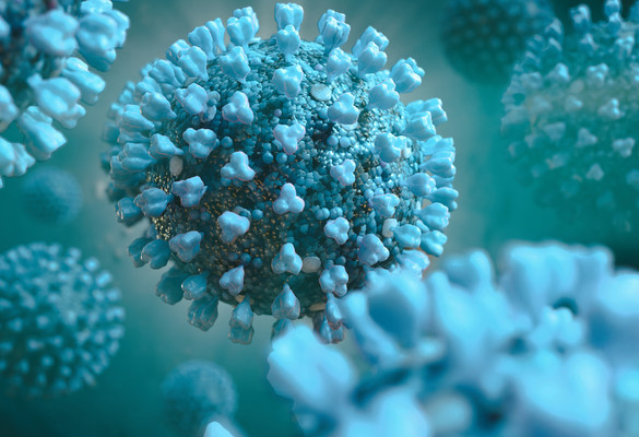 A Live Attenuated Influenza Virus Vaccine Offering Universal Protection