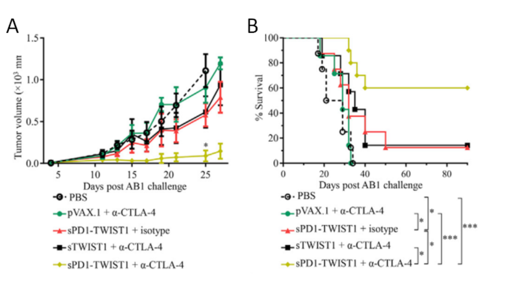 Figure 1. Checkpoint Modulation Enhances the Antitumor Activity of sPD1-TWIST1 Vaccination for Curing Established Mesothelioma